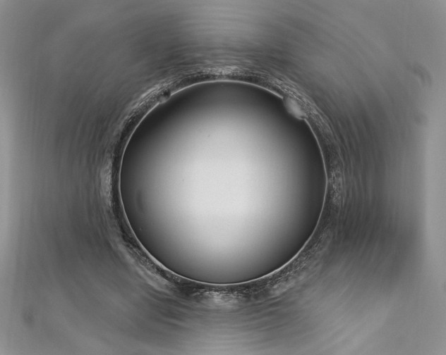 X0000113160442200909041259