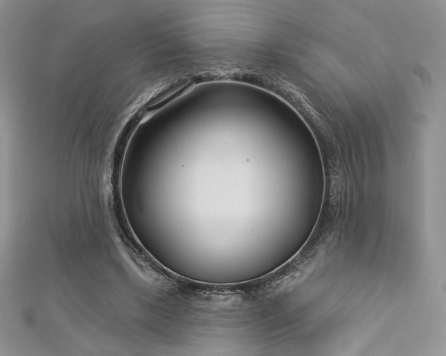 X0000113160443200909041259