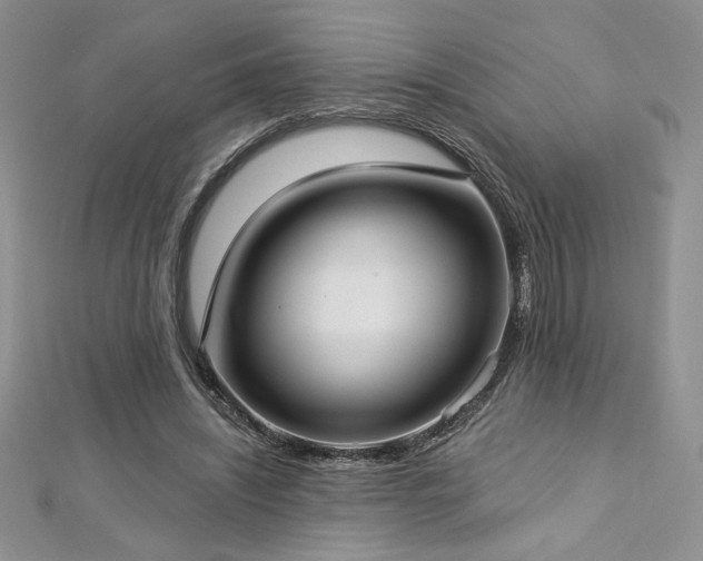 X0000113160444200909041259