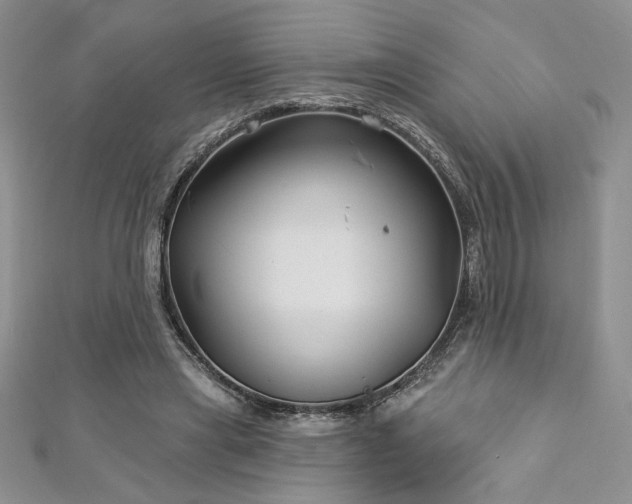 X0000113160445200909041259