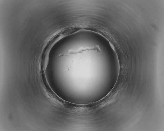 X0000113160446200909041259