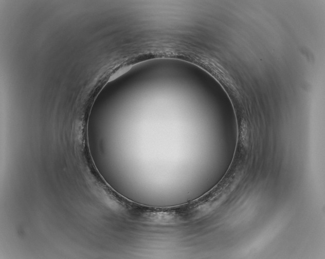 X0000113160449200909041259