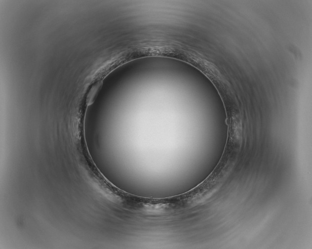 X0000113160450200909041259