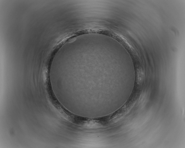 X0000113160451200909041259