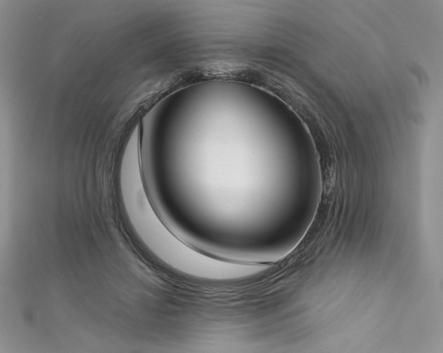 X0000113160452200909041259