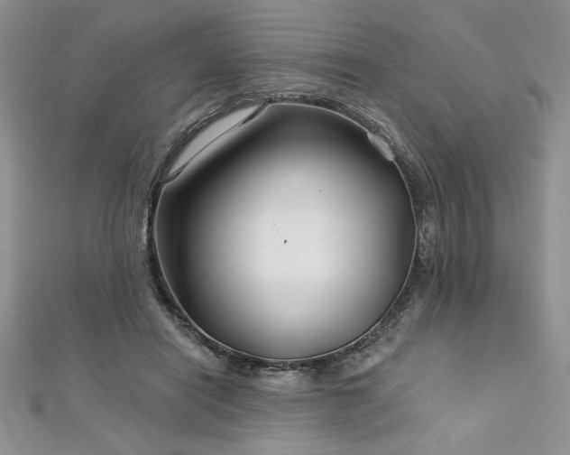 X0000113160454200909041259