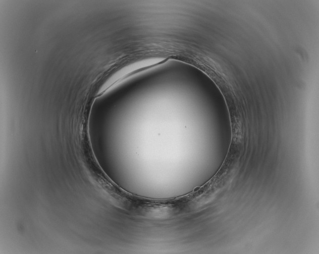 X0000113160456200909041259