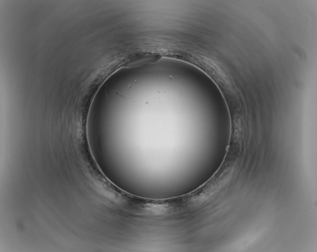 X0000113160457200909041259