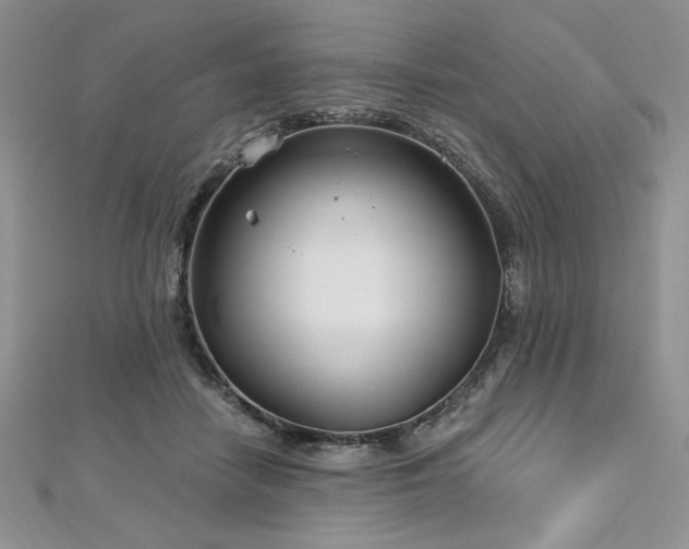 X0000113160458200909041259
