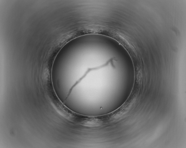 X0000113160459200909041259