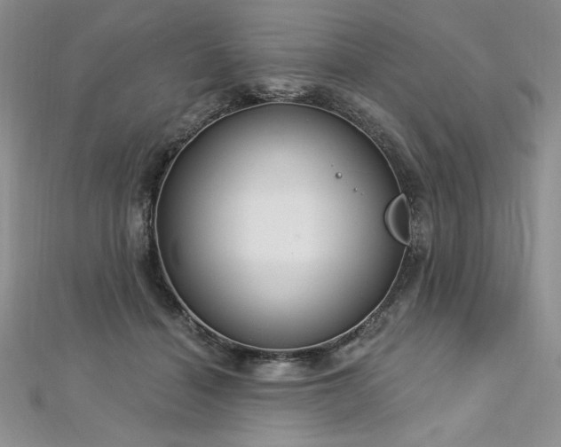 X0000113160460200909041259