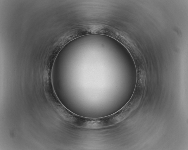 X0000113160461200909041259
