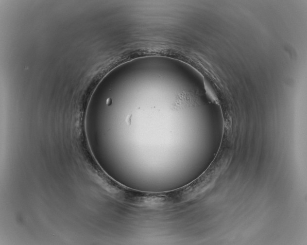 X0000113160462200909041259