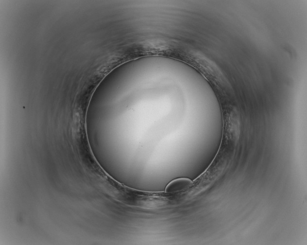X0000113160463200909041259