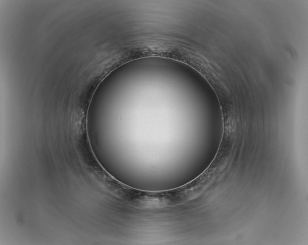 X0000113160464200909041259