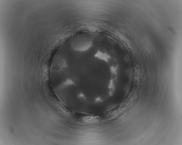 X0000113160465200909041259