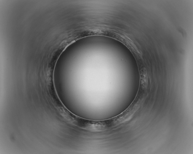 X0000113160466200909041259