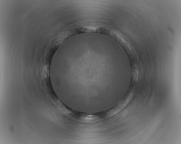 X0000113160467200909041259