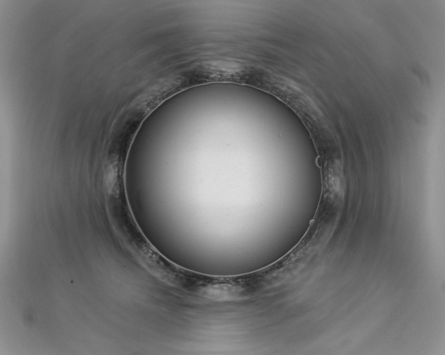 X0000113160468200909041259