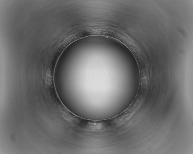 X0000113160469200909041259