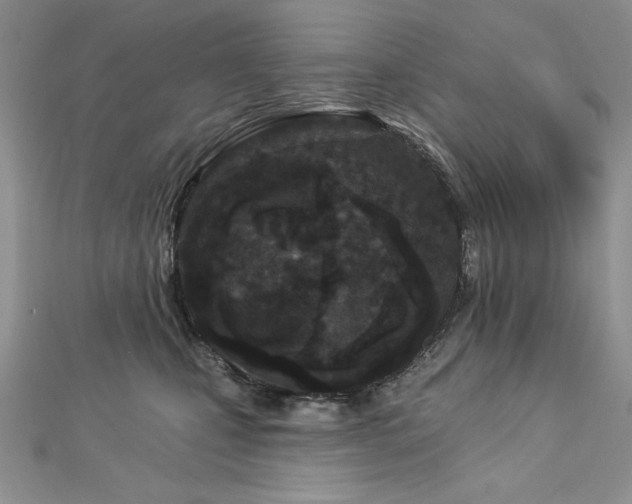 X0000113160471200909041259