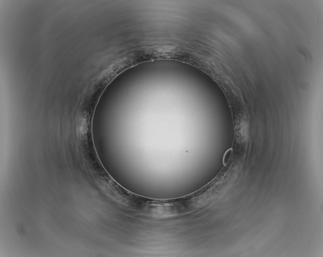X0000113160472200909041259
