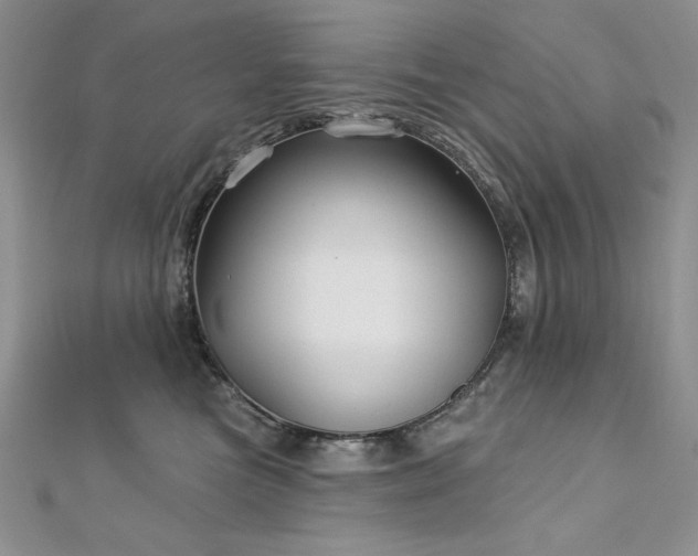 X0000113160473200909041259