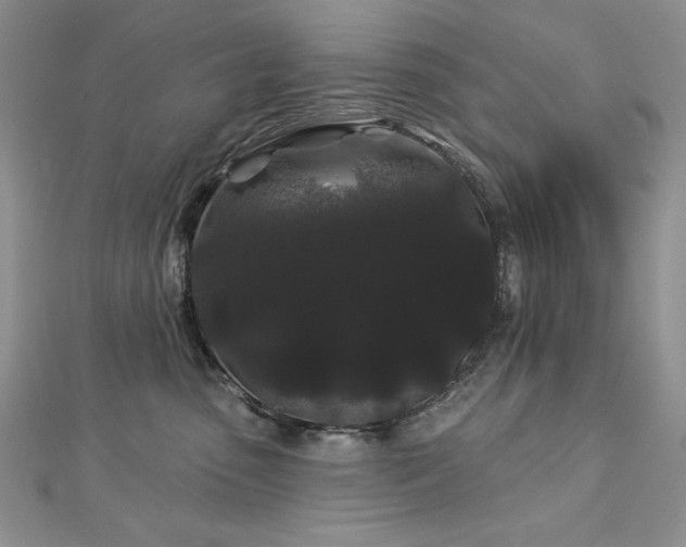 X0000113160475200909041259