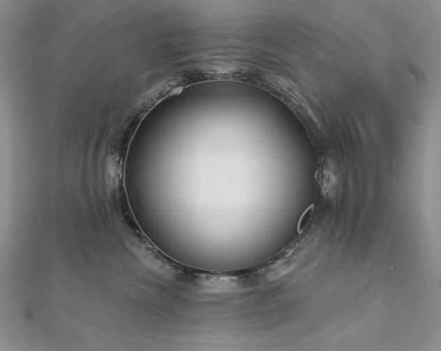 X0000113160476200909041259