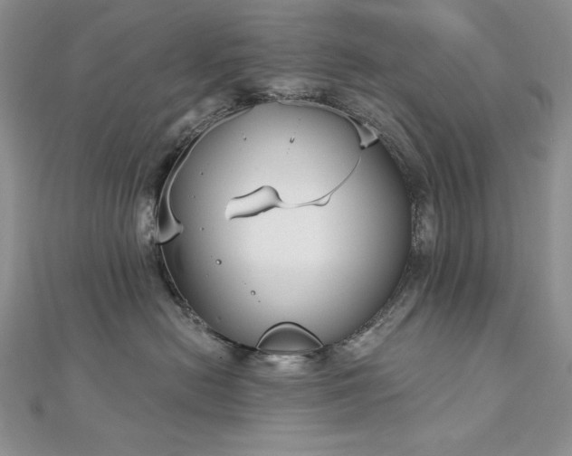 X0000113160478200909041259
