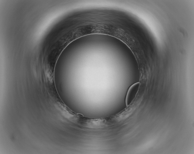 X0000113160479200909041259