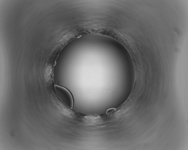 X0000113160480200909041259