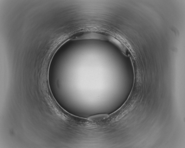 X0000113160481200909041258