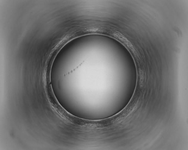 X0000113160482200909041258