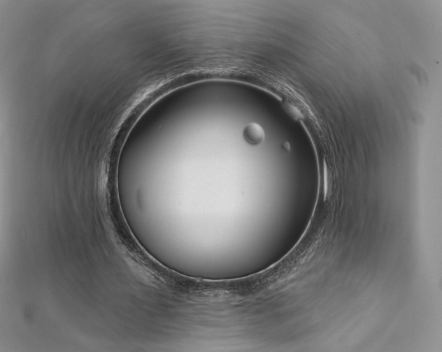 X0000113160483200909041258