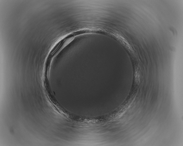 X0000113160484200909041258