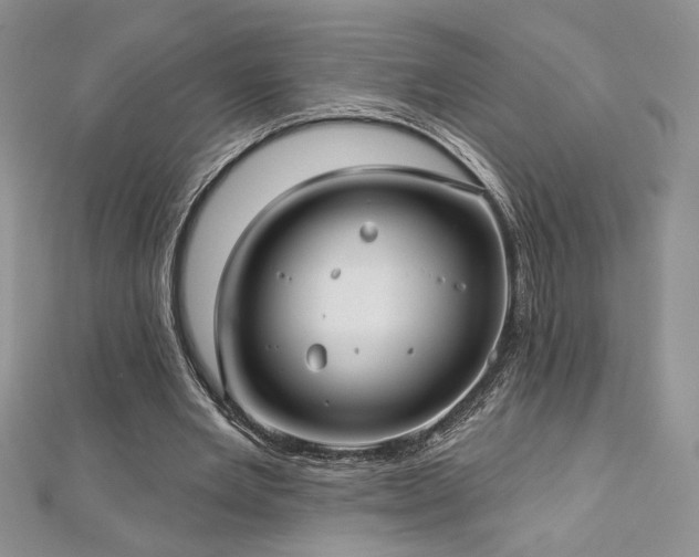 X0000113160485200909041258
