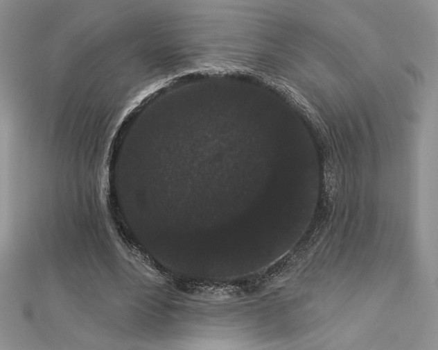X0000113160488200909041258