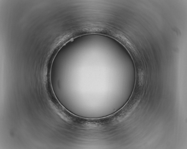 X0000113160490200909041258