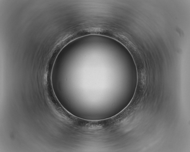 X0000113160491200909041258