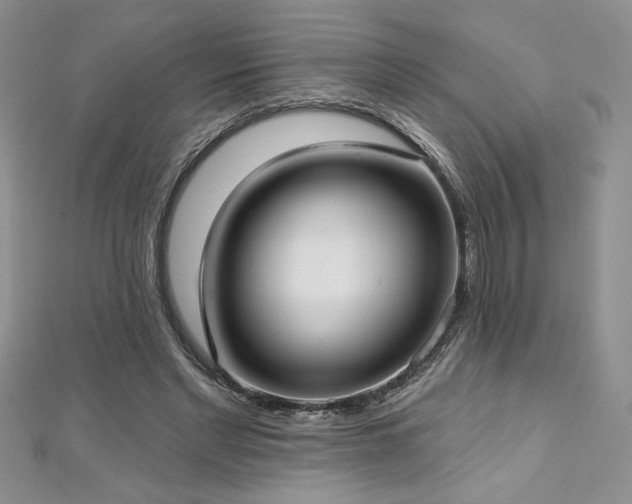 X0000113160493200909041258