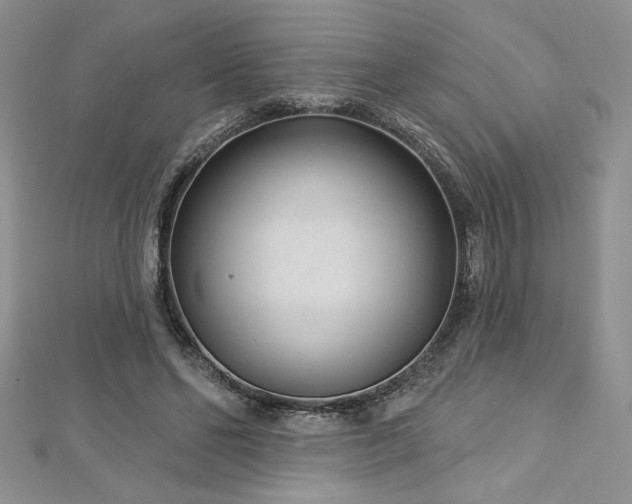 X0000113160494200909041258