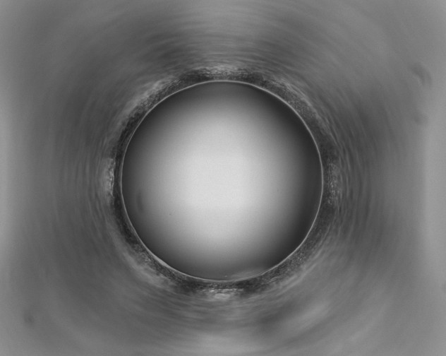 X0000113160495200909041258