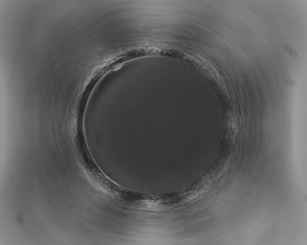 X0000113160496200909041258