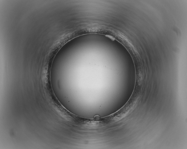 X0000113160497200909041258