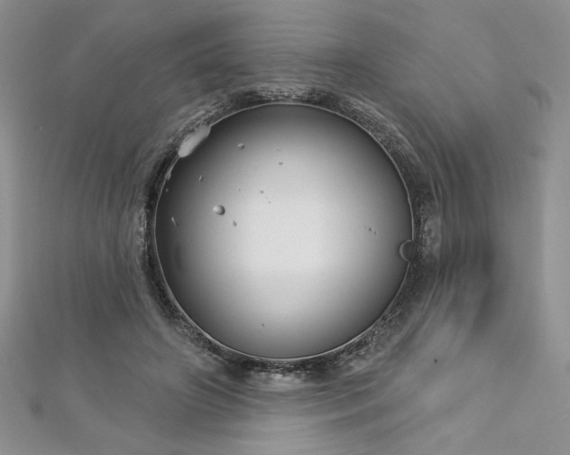 X0000113160498200909041258