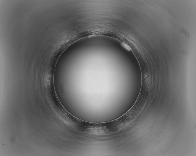 X0000113160499200909041258
