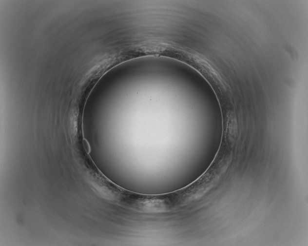 X0000113160501200909041258