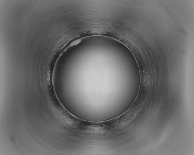 X0000113160502200909041258