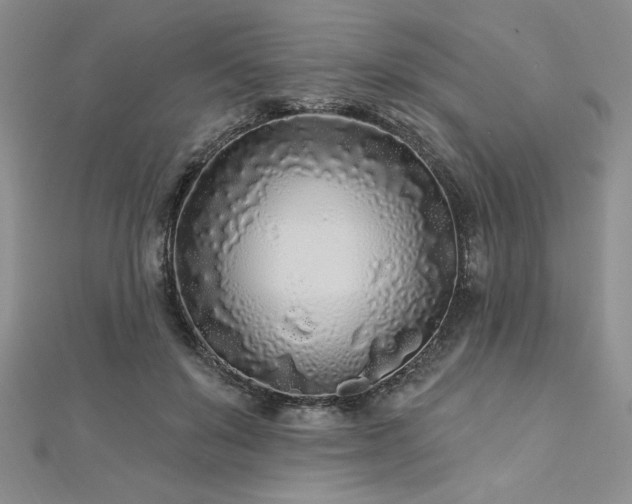 X0000113160503200909041258
